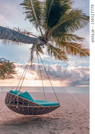 Tranquil sunset beach travel landscape palm tree swing hammock nature ocean view Tranquil sunset beach travel landscape palm tree swing hammock nature ocean view 136527779