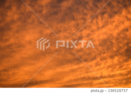 綺麗に色づいた夕焼け雲は刻々と形を変えていく 136528737
