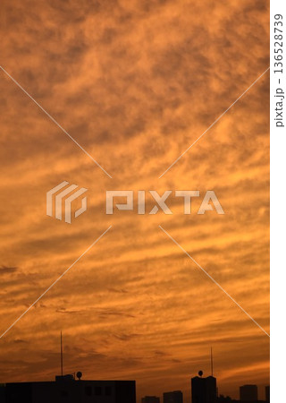 綺麗に色づいた夕焼け雲は刻々と形を変えていく 綺麗に色づいた夕焼け雲は刻々と形を変えていく 136528739