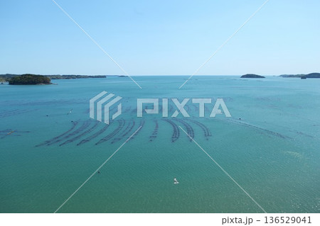 志津川湾 1205 136529041