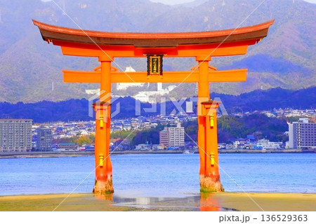 日本三景宮島の厳島神社 日本三景宮島の厳島神社 136529363