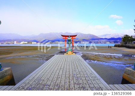 日本三景宮島の厳島神社 136529366