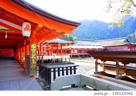 日本三景宮島の厳島神社 日本三景宮島の厳島神社 136529368