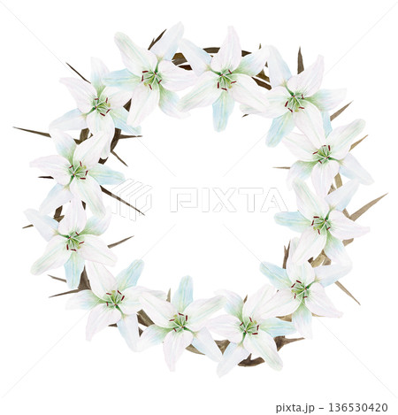 Watercolor wreath of white lilies and crown of thorns isolated on white background, hand painted illustration for Maundy Thursday invitations, Easter decor, cards. Symbol of sacrifice, resurrection Watercolor wreath of white lilies and crown of thorns isolated on white background, hand painted illustration for Maundy Thursday invitations, Easter decor, cards. Symbol of sacrifice, resurrection 136530420