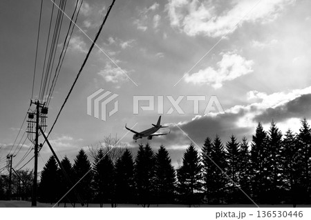 「冬晴れの北海道」着陸体制で林の上を新千歳空港滑走路へ向かう機影「白黒」 「冬晴れの北海道」着陸体制で林の上を新千歳空港滑走路へ向かう機影「白黒」 136530446