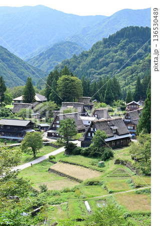 相倉合掌造り集落展望台 相倉合掌造り集落展望台 136530489