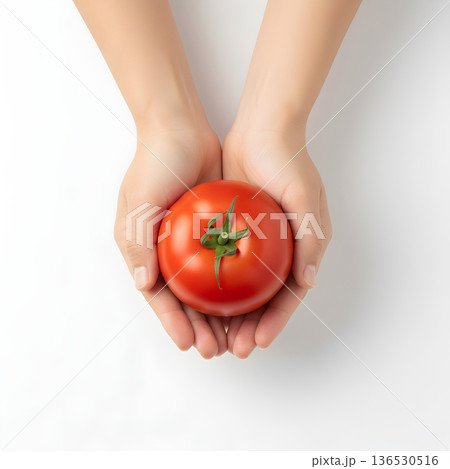 Tomato Vegetable Top Down View of Hands Holding a Large Red Tomato 136530516