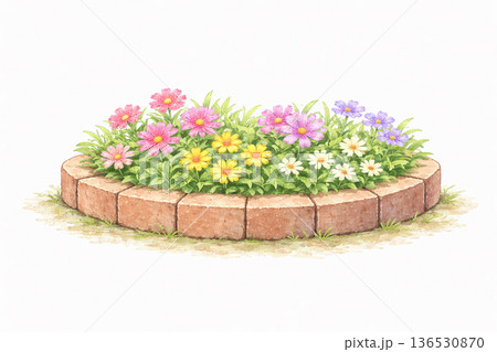 花壇 フラワーガーデン レンガ枠の花畑イラスト 春の庭園風景 ナチュラル園芸デザイン 136530870