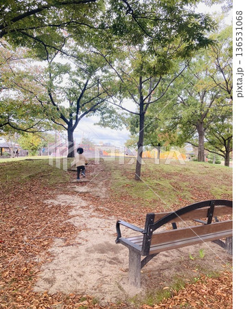 落ち葉の公園 落ち葉の公園 136531068