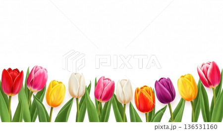 パステル調の淡い水彩チューリップイラスト｜春の広告・カード用文字スペースあり 136531160