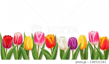 パステル調の淡い水彩チューリップイラスト｜春の広告・カード用文字スペースあり 136531161