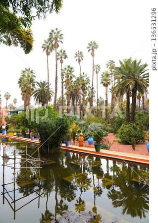 モロッコのマラケシュにあるマジョレル庭園内部景観5 136531296