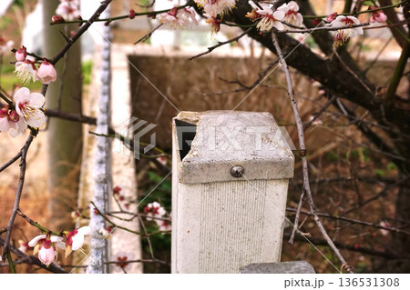 門柱キャップの交換 DIY 門柱キャップの交換 DIY 136531308