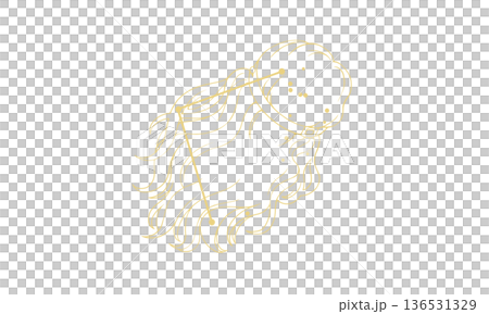 かみのけ座の線画イラスト（ゴールド色で髪の絵と星座線、線のみで塗りなし） 136531329