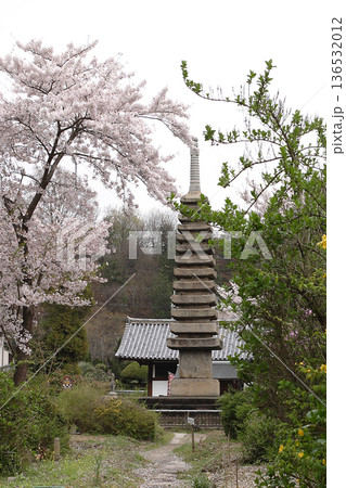 般若寺 桜 奈良市 般若寺 桜 奈良市 136532012