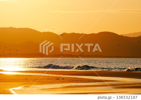 京都府京丹後夕日ヶ浦海岸の風景 136532187