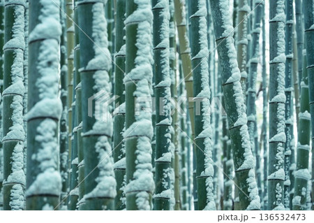 京都嵐山の雪景色 136532473