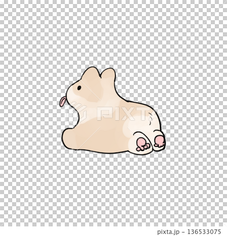 Cute little Corgi 136533075