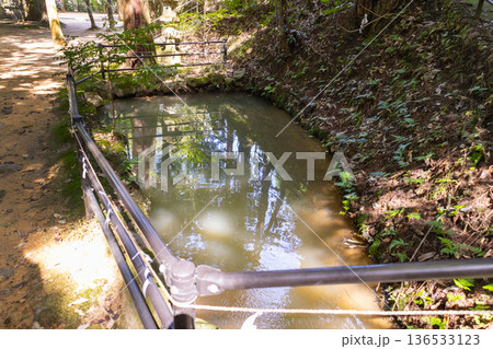 玉作湯神社　真玉ヶ池 136533123