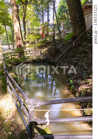 玉作湯神社　真玉ヶ池 136533125