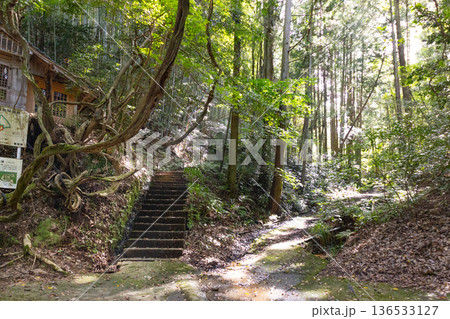 玉作湯神社　大宮神社へ続く階段と　湯山逢拝殿へと続く道 136533127