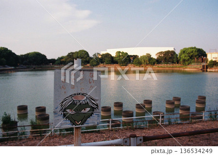 (フィルム写真)水のある風景、カッパが見守る (フィルム写真)水のある風景、カッパが見守る 136534249