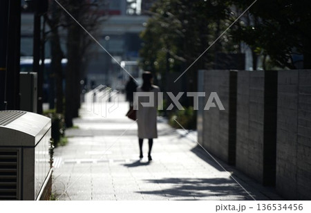 冬の陽光と歩道 冬の陽光と歩道 136534456