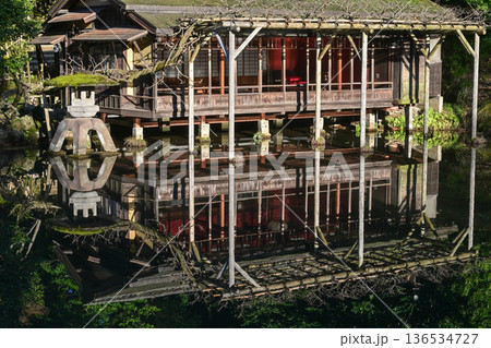 初冬の兼六園 136534727