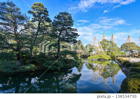 青空が広がる初冬の兼六園 青空が広がる初冬の兼六園 136534730