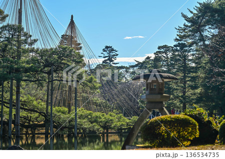 青空が広がる初冬の兼六園 136534735