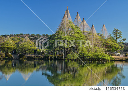 青空が広がる初冬の兼六園 136534738