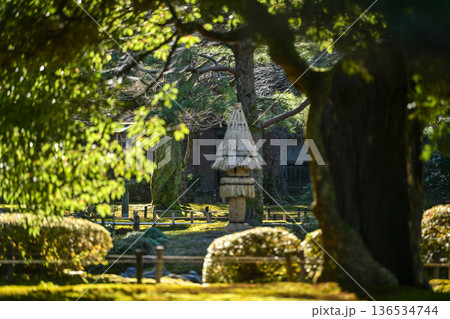 初冬の兼六園 初冬の兼六園 136534744