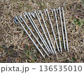 キャンプ用テントチタンペグのセット 芝生の上に並べたアウトドア用品 136535010