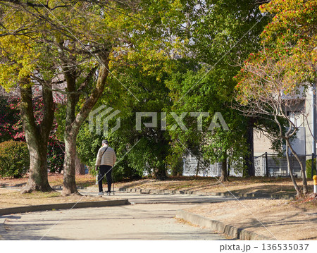 冬の昼の住宅地の公園で散歩する一人のシニア男性の姿 136535037