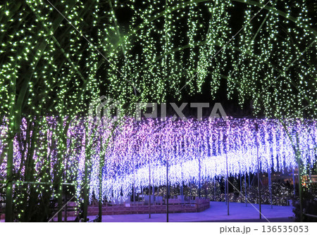 あしかがフラワーパーク「光のふじのはな物語」2 136535053