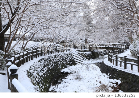 雪の根来寺12 雪の根来寺12 136535255