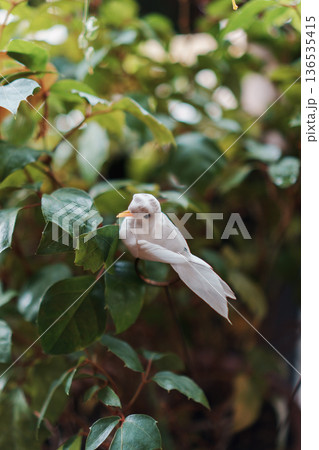 擬鳥と本物の枝と葉 擬鳥と本物の枝と葉 136535415