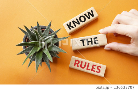 Know the rules symbol. Wooden blocks with words Know the rules. Businessman hand. Beautiful orange background with succulent plant. Business and Know the rules concept. Copy space. 136535707