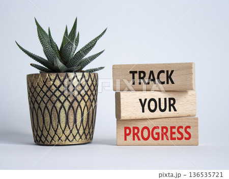 Progress symbol. Wooden blocks with words Track Your Progress. Beautiful white background with succulent. Business and Track Your Progress concept. Copy space. Progress symbol. Wooden blocks with words Track Your Progress. Beautiful white background with succulent. Business and Track Your Progress concept. Copy space. 136535721