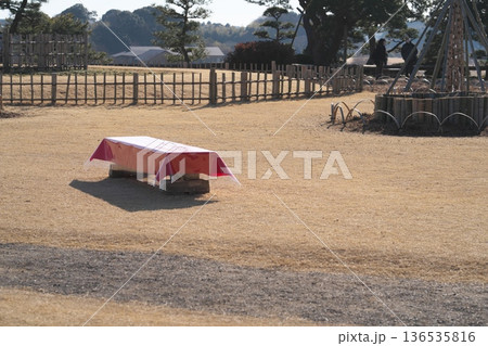 水戸偕楽園と梅の花 水戸偕楽園と梅の花 136535816