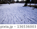 冬の青空と雪を冠した公園の樹木 136536003