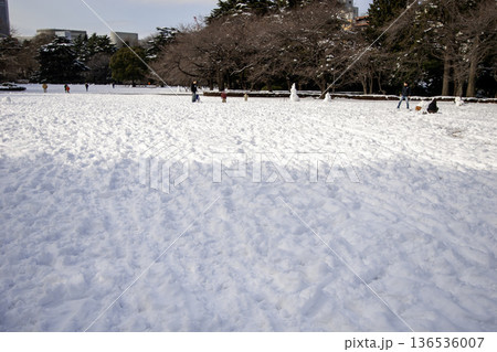 雪が降り積もった公園の広場と無数の足跡 雪が降り積もった公園の広場と無数の足跡 136536007