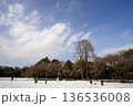 一面の銀世界と雪遊びを楽しむ人々の風景 136536008