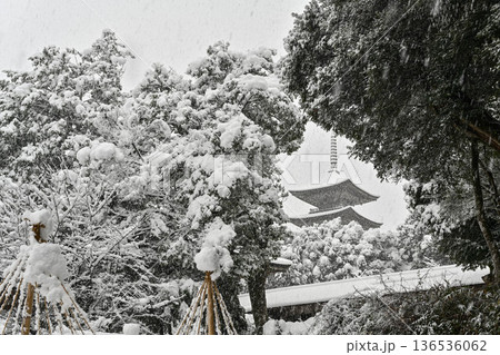 美しい妙成寺の雪景色 美しい妙成寺の雪景色 136536062