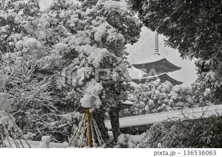 美しい妙成寺の雪景色 美しい妙成寺の雪景色 136536063