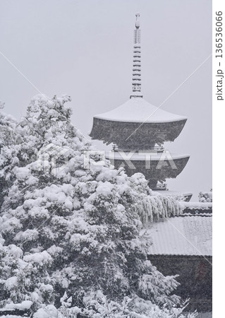 美しい妙成寺の雪景色 136536066