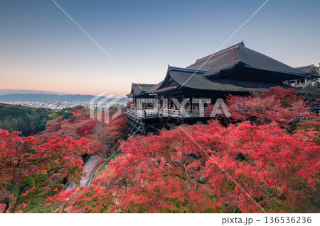 秋の清水寺 136536236
