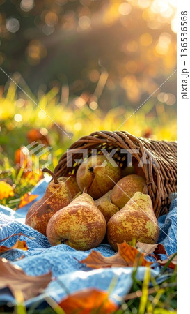Pears Spilling from Wicker Basket on Picnic Blanket in Autumn 136536568