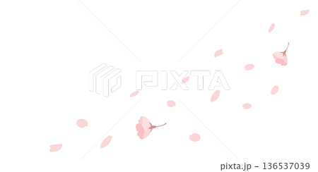 春の桜が花びら舞い散る美しいさくら色のパステルカラーシンプルナチュラルなベクターイラスト素材 136537039