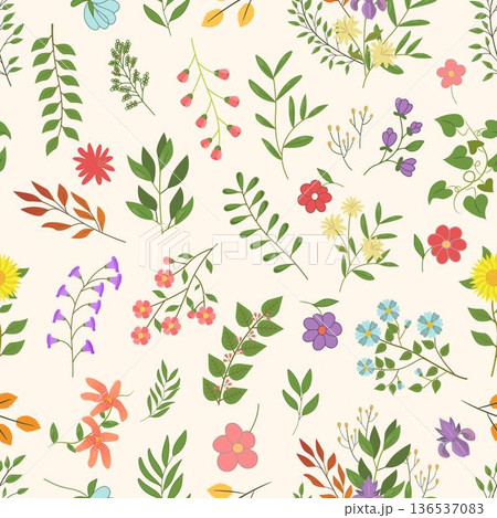 Seamless Colorful Summer Floral Hand Drawn Pattern Seamless Colorful Summer Floral Hand Drawn Pattern 136537083